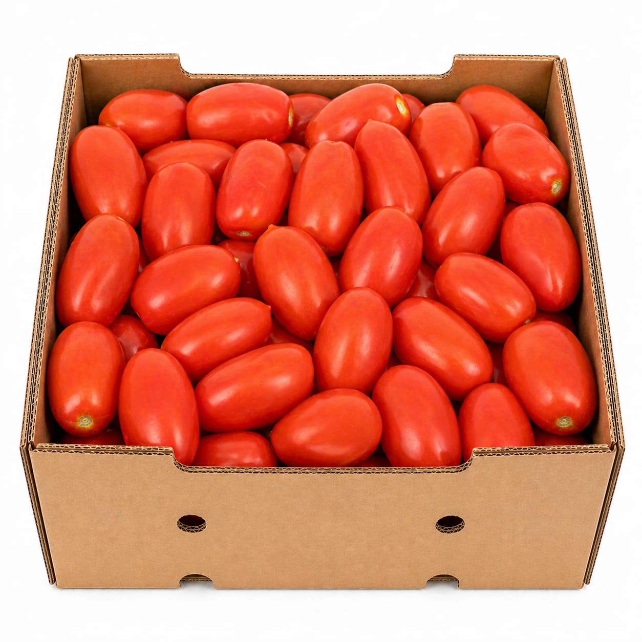 گوجه‌فرنگی (رومی) تازه – ۷ کیلو