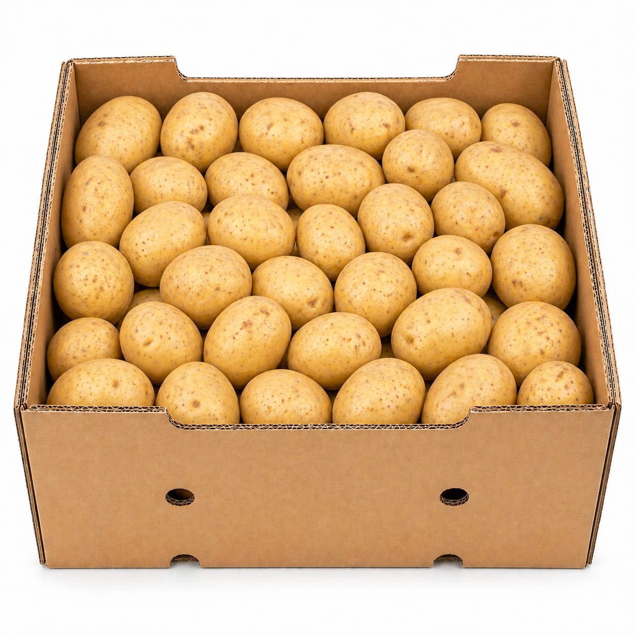 کچالو تازه وطنی – ۷ کیلو
