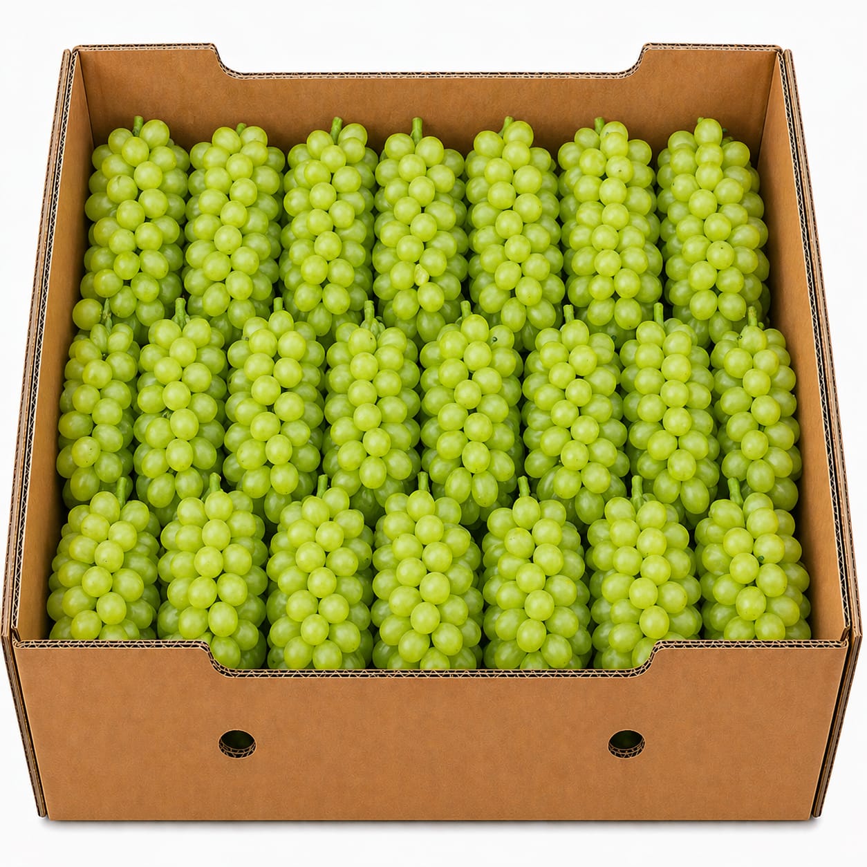 انگور تازه وطنی – ۷ کیلو (جعبه‌ای)