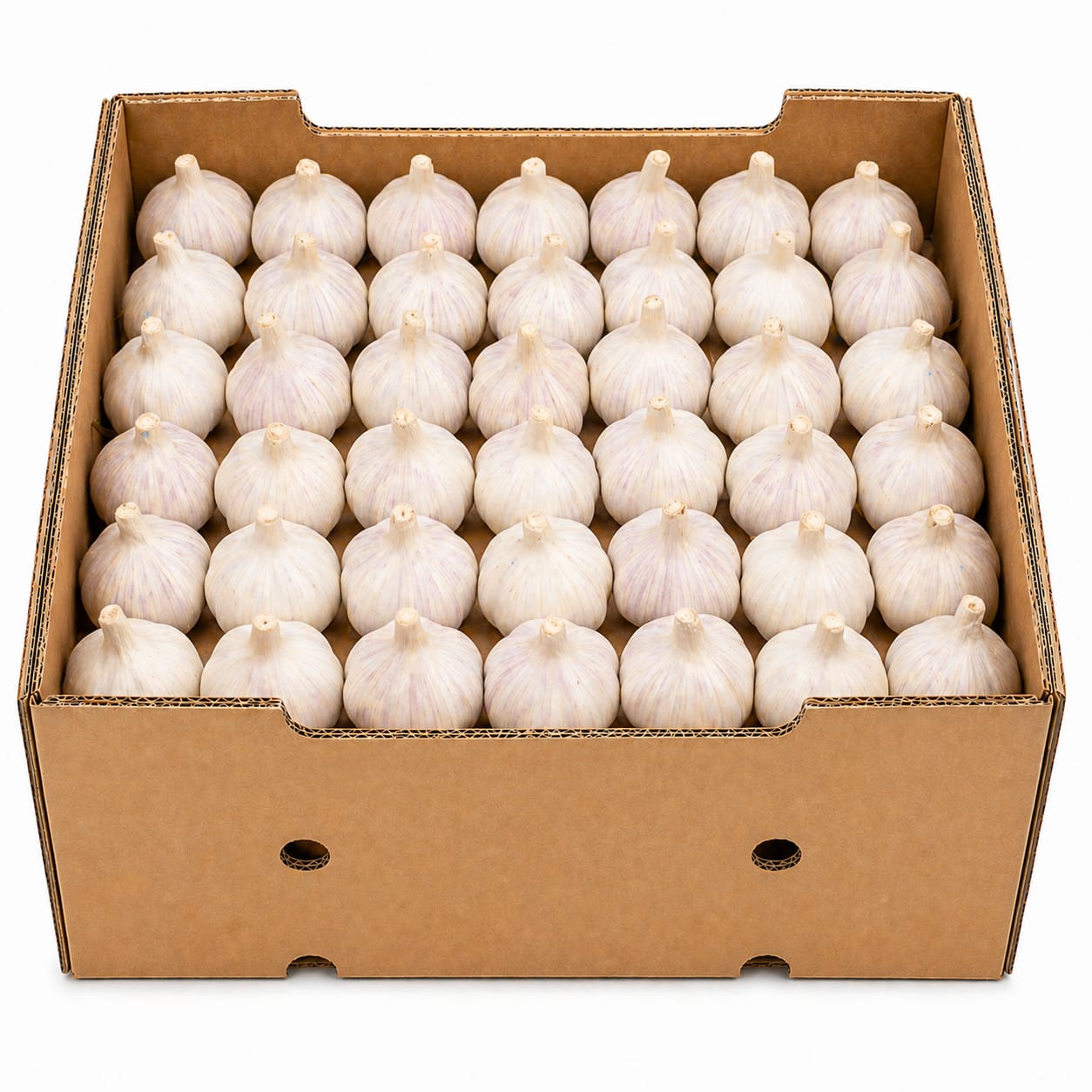 سیر تازه وطنی – ۱ کیلو